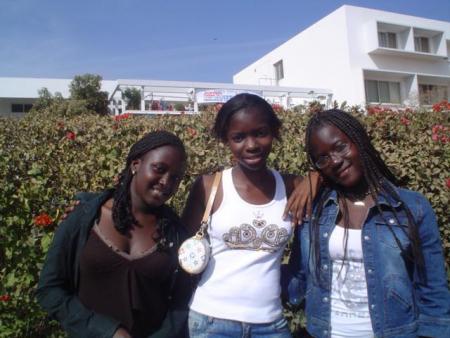 chiwies de moa